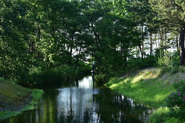 Liste des aliments sans gluten que vous pouvez manger